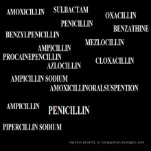 FDA и GMP одобрил Пенициллины медицины